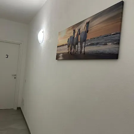 Piccola Flo Cagliari